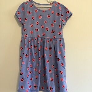 BCG Ladybug Dress with Pockets